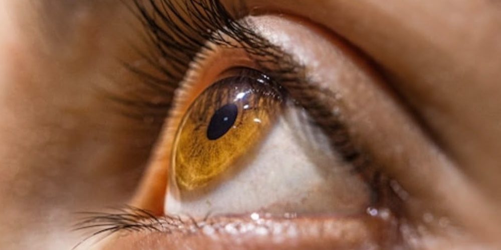 Close-up of an eye